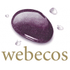 /img/logos/webecos-100x100.png
